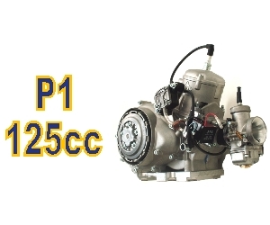 P1 Engine