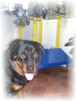 Perla!
